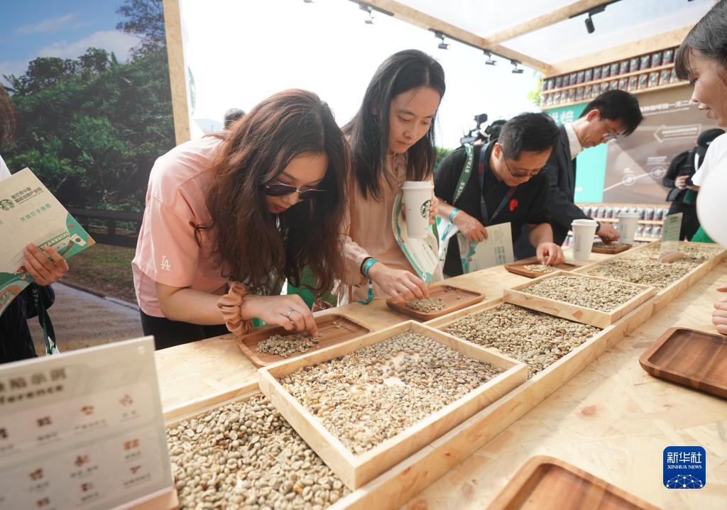 三七一棋牌